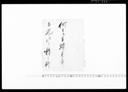 [書状断簡] / Letter image