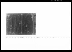 [大名関係類例集](下総古河藩家臣鷹見家関係史料) / Examples Related to Daimyō (Historical Materials Related to the Takami Family of  Koga Domain, Shimousa) image
