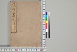 戯文軌範 人 / Gibun Kihan (Collection of Advertisements and Humorous Writings), Vol. 3 image