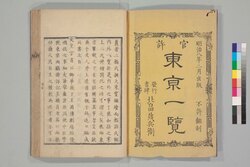 東亰一覧 / Tōkei Ichiran (Tokyo At a Glance) image