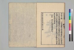 救荒本草 巻十一 / Kyūkō Honzō (Materia Medica for Famine Food Plants), Vol. 11 image