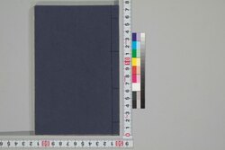 秋意古新集 / Shūi Koshinshū (Book of Chrysanthemums) image