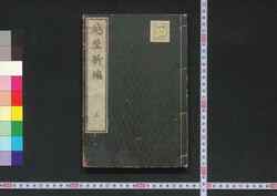 越歴新編 / Ereki Shinhen (Newly Edited Book on Elekiter) image