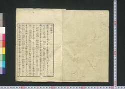 牛痘辨非 / Gyūtō Bempi (Book of Smallpox Vaccinations Using Cowpox Virus) image