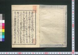 増補地錦抄 / Zōho Chikinshō (Book of Gardening) image