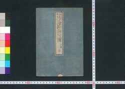 和解防海新論付図 第一版 / Wage Bōkai Shinron Fuzu (Supplementary Map to Translation of "A Treatise on Coast-defence"), First Edition image