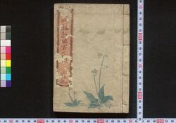 新編歌俳百人撰 / Shimpen Kahai Hyakunin Sen (Collection of Waka and Haikai Poems) image