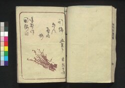 新編金瓶梅 五集下 / Shimpen Kimpeibai (New Version of The Plum in the Gold Vase), Part 2 of Vol. 5 image