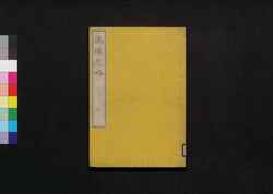 瀛環志略 巻九 / Ei Kan Shiryaku (Geographical Description of the World), Vol. 9 image