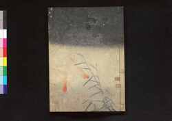 蒹葭堂雑録 巻之三 / Kenkadō Zatsuroku (Miscellaneous Records by Kenkadō), Vol. 3 image