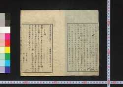 遠近新聞 / Ochikochi Shimbun (Newspaper) image
