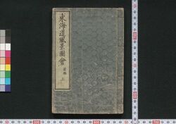 東海道風景図会 / Tōkaidō Fūkei Zu-e (Illustrations of Views Along the Tōkaidō Road) image