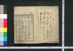 辰巳婦言 / Tatsumi Fugen (Feminine Speech of Tatsumi Courtesans) image
