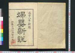 婦嬰新設 / Fuei Shinsetsu (Treatise on Midwifery and Diseases of Children) image