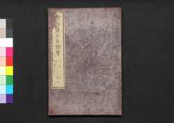 遠西醫方名物考 巻四 仁下・保・閉 / Ensei Ihō Meibutsu Kō (Book of Western Medicines), Vol. 4 image