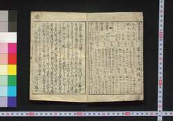 新吉原細見 / Shin Yoshiwara Saiken (Guidebook for Visitors to New Yoshiwara District) image