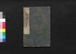 古郷歸乃江戸咄(角書「新版」) / Furusato Gaeri no Edo Banashi (Tales of Edo to Bring Back Home), Part 5of Vol. 1 image