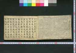 花壇養菊集 / Kadan Yōkiku Shū (Collection of Cultivated Chrysanthemum Displays) image