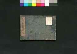 花壇養菊集 巻中 / Kadan Yōkiku Shū (Collection of Cultivated Chrysanthemum Displays), Vol. 2 image