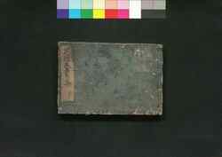 花壇養菊集 巻下 / Kadan Yōkiku Shū (Collection of Cultivated Chrysanthemum Displays), Vol. 3 image