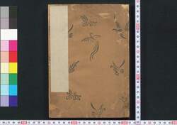 松葉蘭譜 / Matsubaran Fu (Encyclopedia of Whisk Ferns) image