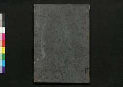 花彙 草之四 / Kai (Encyclopedia of Flowers and Plants), Section on Plants, Vol. 4 image