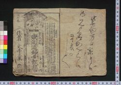 富士流剣術荒井流柔術東海道婦女敵討 / Fujiryū Kenjutsu Arairyū Jūjutsu Tōkaidō Onna Kataki (Vengeance on Azuma Kaidō Road) image