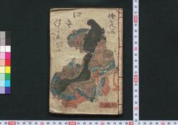 偐紫田舎源氏 初編 上・下 / Nise Murasaki Inaka Genji (Fake Murasaki's Rustic Genji), Vol. 1, Part 1 and 2 image