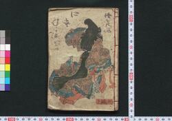偐紫田舎源氏 / Nise Murasaki Inaka Genji (Fake Murasaki's Rustic Genji) image