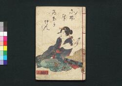 偐紫田舎源氏 四編 上・下 / Nise Murasaki Inaka Genji (Fake Murasaki's Rustic Genji), Vol. 4, Part 1 and 2 image