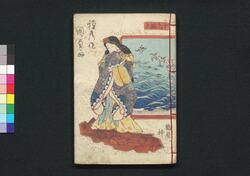 偐紫田舎源氏 十九編 上・下 / Nise Murasaki Inaka Genji (Fake Murasaki's Rustic Genji), Vol. 19, Part 1 and 2 image