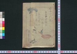 お竹一代 黄金花 桜木双紙 / Otake Ichidai Kogane no Hana Sakuragi Sōshi (Story of Otake), Vol. 1, Part 1 image