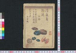 浮寝鳥朧漣 四編上 / Ukine Dori Oboro Sazanami (Waterbird in the Hazy Waves), Vol. 4, Part 1 image