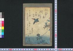 浮寝鳥朧漣 五編上 / Ukine Dori Oboro Sazanami (Waterbird in the Hazy Waves), Vol. 5, Part 1 image