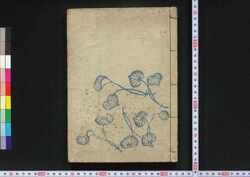 女四書芸文図会 花の巻 鄭氏女孝経図会 / Onna Shisho Geibun Zu-e (Textbook of Filial Piety for Women), Vol. 1 image