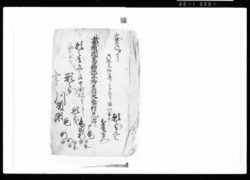 武蔵国葛飾郡二郷半領大膳村差出シ(御巡見様御通之節差上候帳控書置候) / Document of Rural Area image