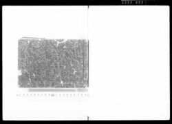 [嘉永三年京都御引渡ニ付供奉道中日記] / Document of Samurai Class image