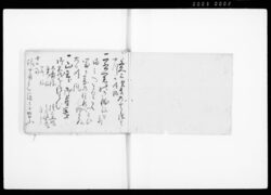 若君供奉りて三河の国靏城へ行道の記附雑記 / Document of Samurai Class image