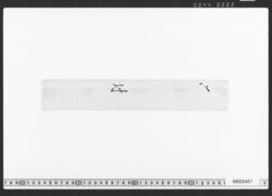 御本丸炎上ニ付上納金御請取証 image