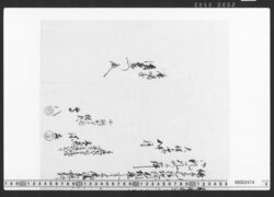 入置申御礼一札之事 / Document of Townspeople image