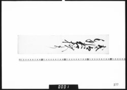 目録断簡「浅姫君様より」 / Document of Samurai Class image