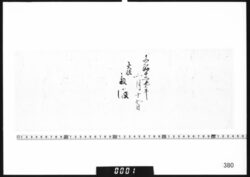荒井たま生年書 image