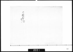 目録(進目出度印) image