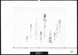 和歌懐紙(高井君の庭前なる菊を見て) image