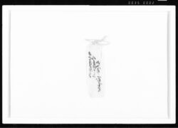 午七月廿四日より八月四日迄御入用一式書付 江戸幕府御徒組相原家文書 image