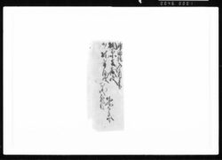 神田橋入用書 江戸幕府御徒組相原家文書 image