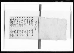 山林方 大坂 江戸幕府御徒組相原家文書 image