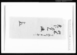 天保五甲午年竹木見分覚帳 江戸幕府御徒組相原家文書 image