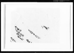 竹木御用向山之中大庄屋幸太夫宛届 江戸幕府御徒組相原家文書 image