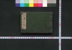 役者出情噺 / Yakusha Shusse Banashi (Ranking and Critique of Kabuki Actors) image